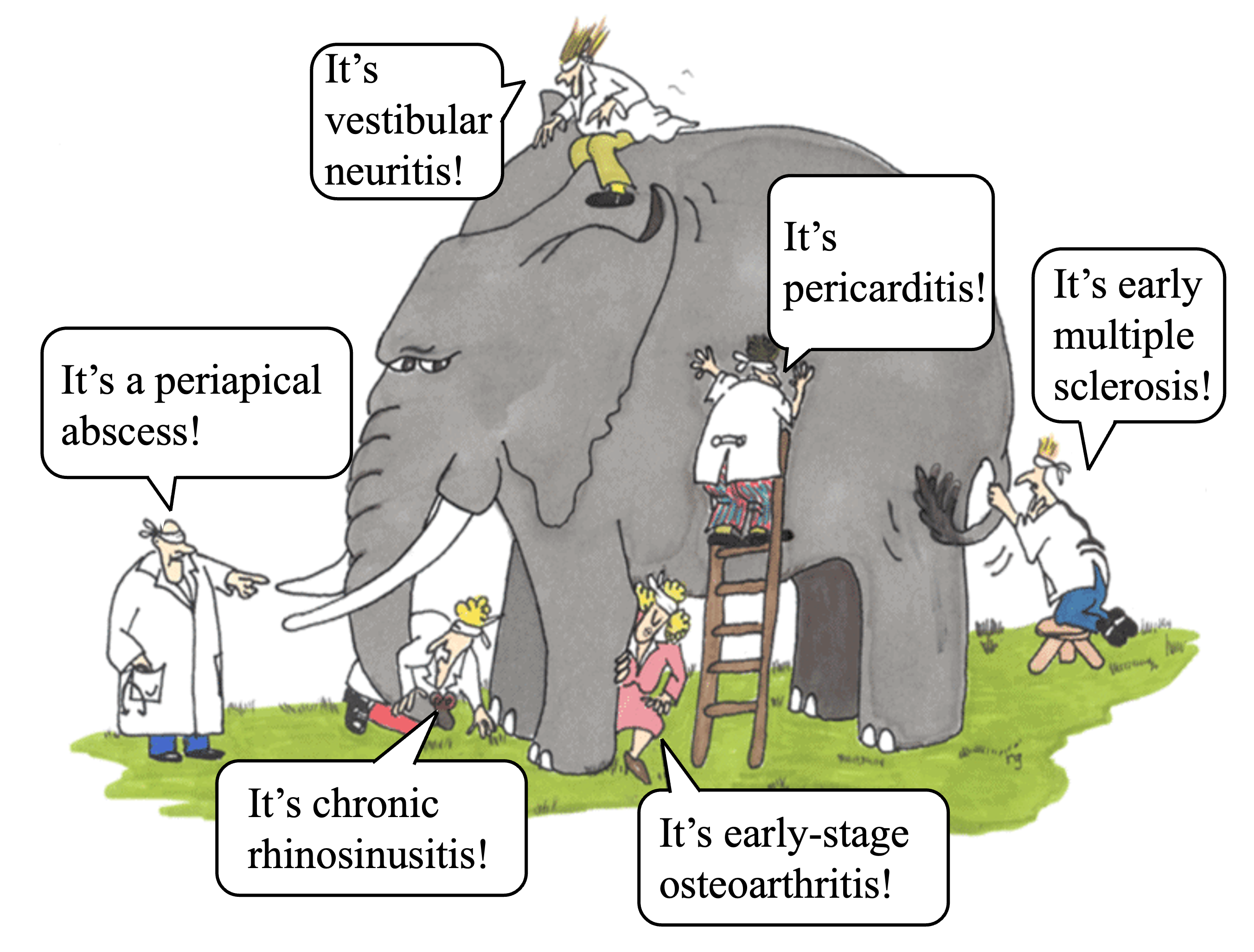 Illustration of a multimodal medical AI