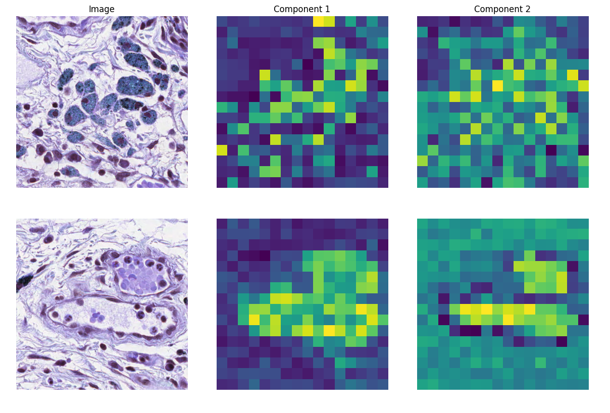 PCA analysis of MoNuSAC embeddings.