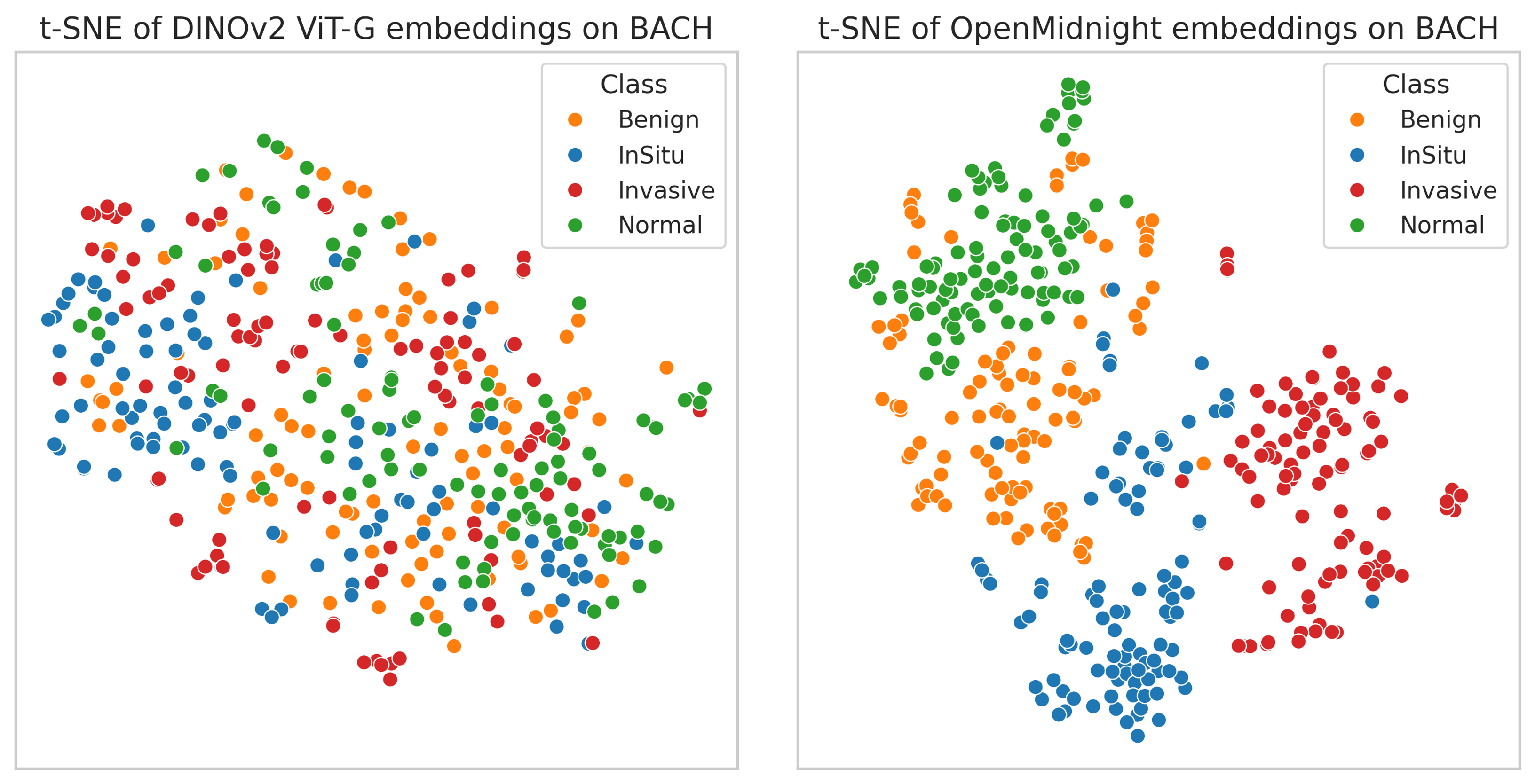 t-SNE of CLS token embeddings of images from the BACH dataset.